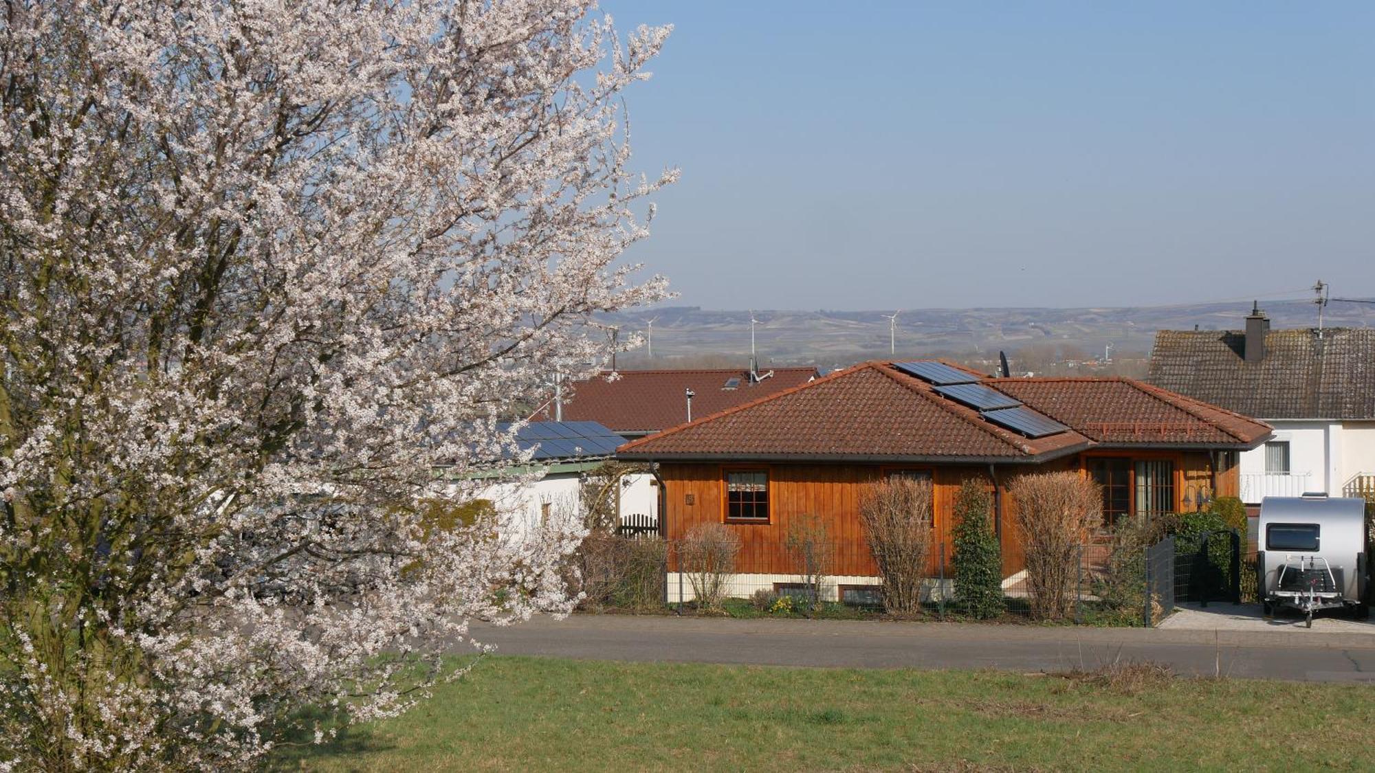 Ferienwohnung An Den Weingaerten Langenlonsheim Exterior photo
